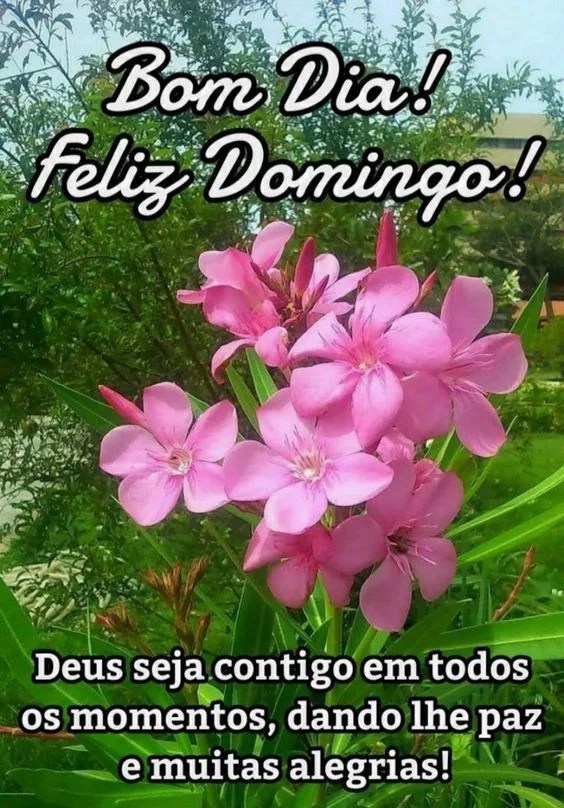 Bom dia Domingo paz e alegrias