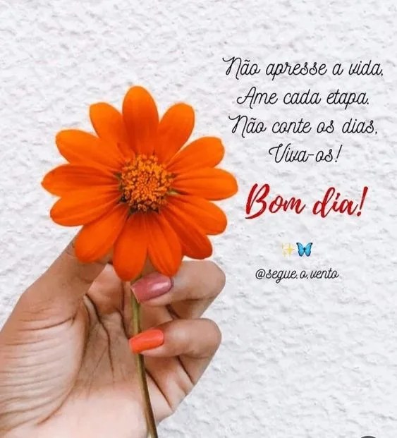 Bom dia ame cada etapa