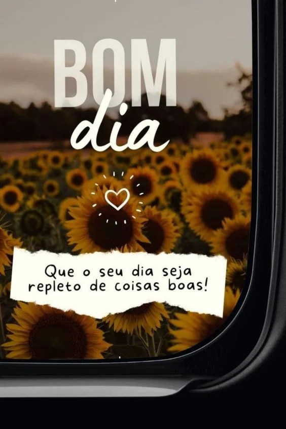 Bom dia com girassóis
