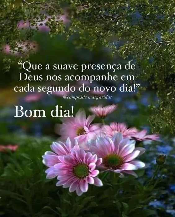 Bom dia Deus nos acompanhe
