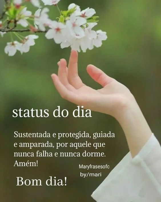 Status de bom dia com flores