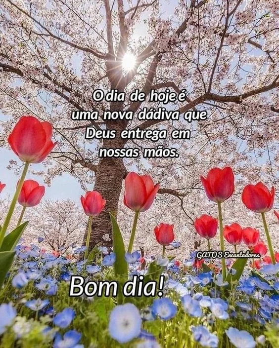 Bom dia de hoje com flores