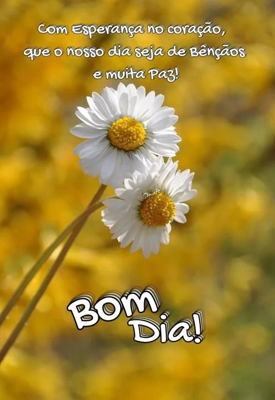 Bom dia com esperança no coração