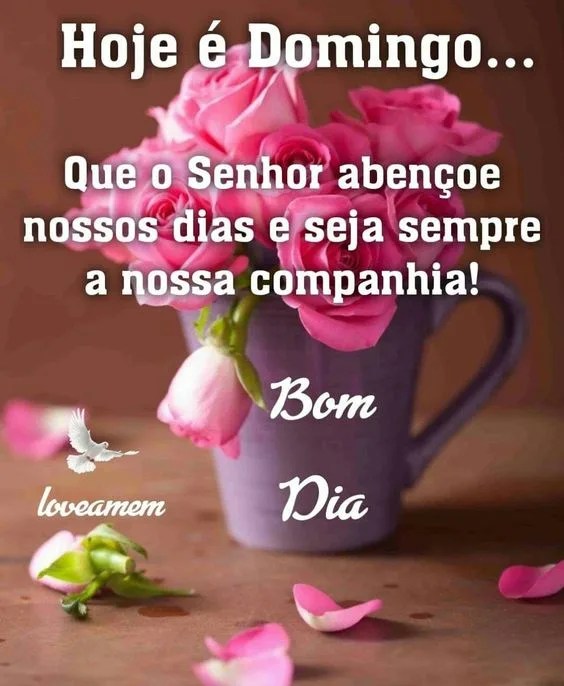 Hoje é domingo