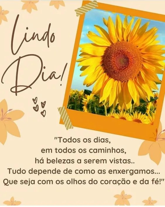 Mensagem de lindo dia com flores
