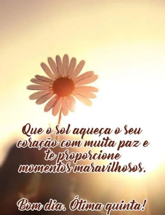 Ótima Quinta com muita paz