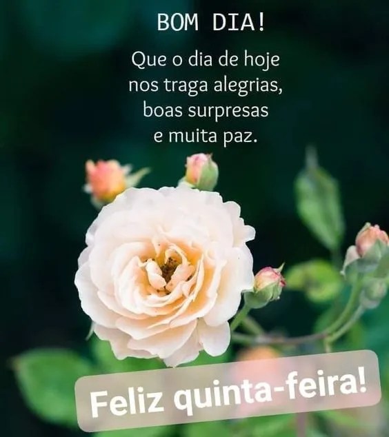 Dia de hoje traga alegrias