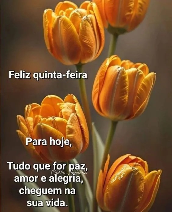 Para hoje tudo de paz e amor