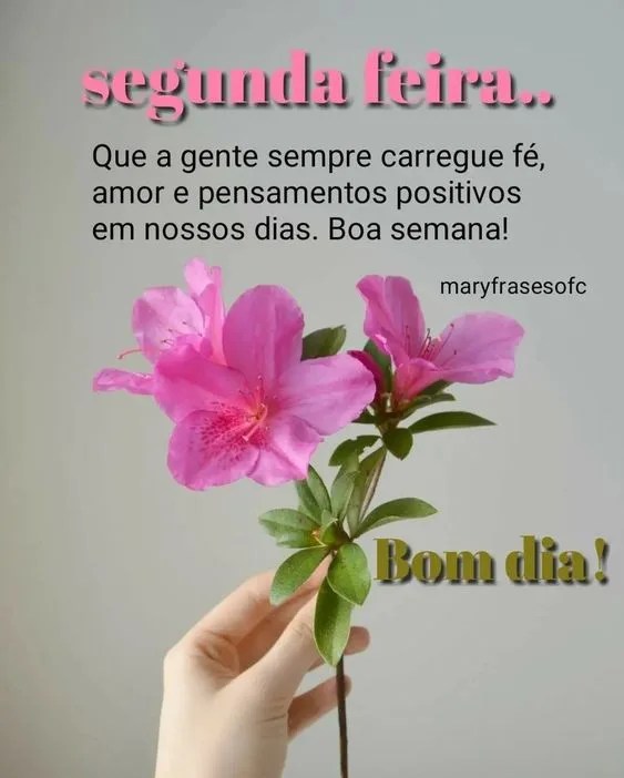 Segunda-feira boa semana
