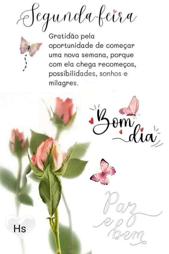 Gratidão de começar nova semana