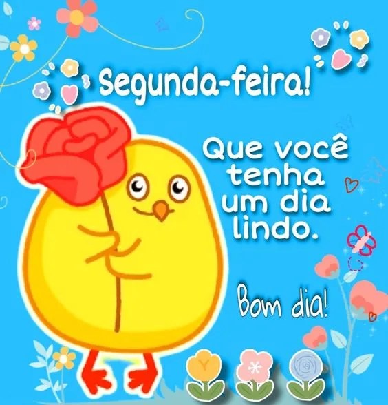 Segunda-feira dia lindo