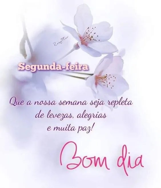 Nossa semana seja de paz