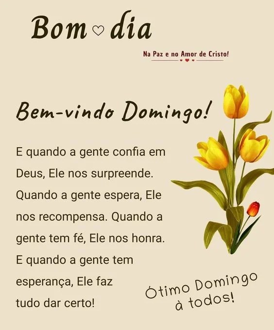 Bem-vindo domingo