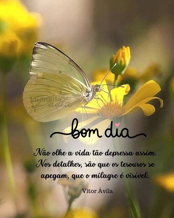 Bom dia nos detalhes