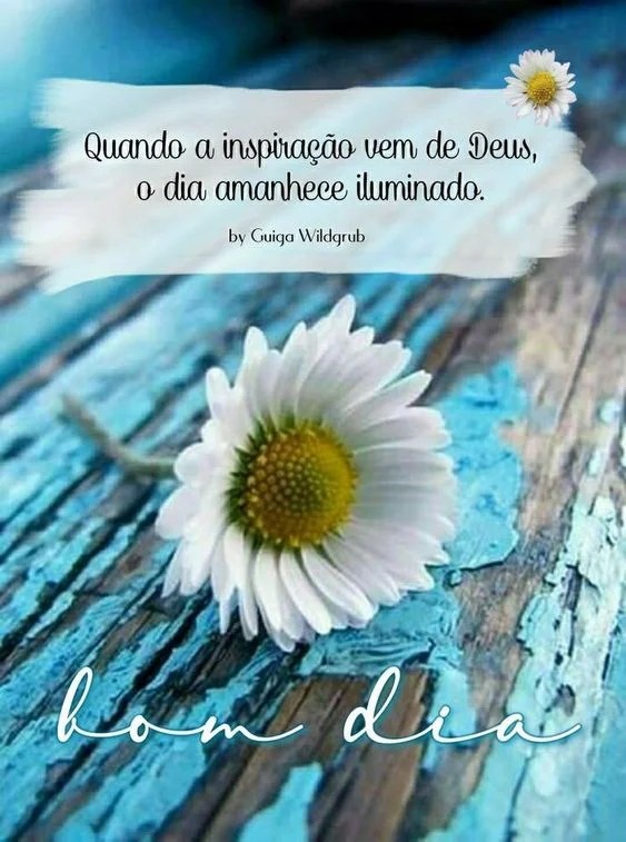 Bom dia iluminado para status