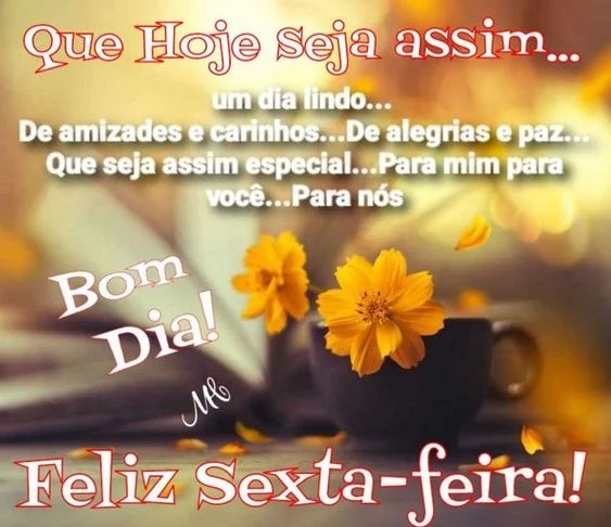 Um dia lindo de amizades