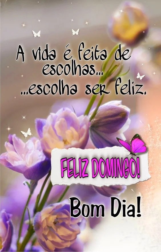 Bom dia Domingo feliz
