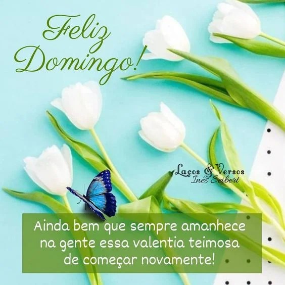 Domingo de começar novamente