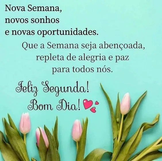 Feliz Segunda nova semana