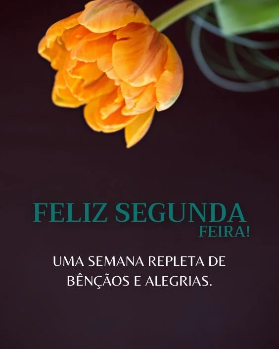 Feliz Segunda de bênçãos e alegrias