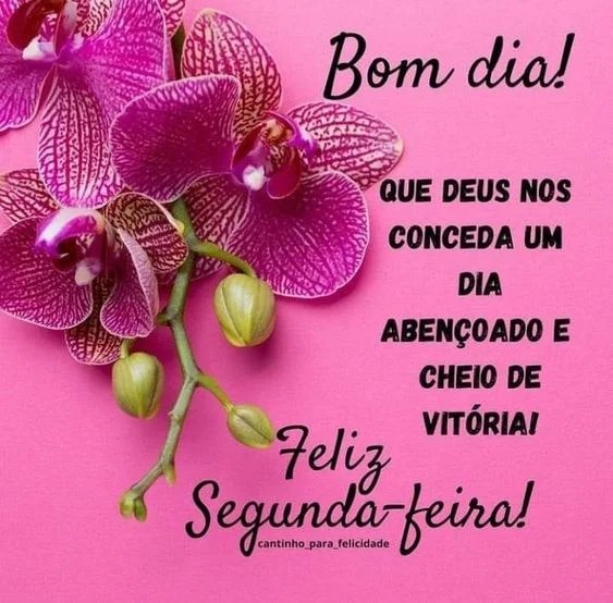 Deus conceda um dia abençoado