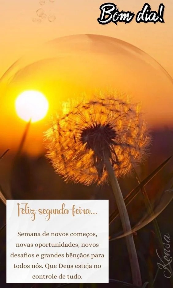 Semana de novos começos