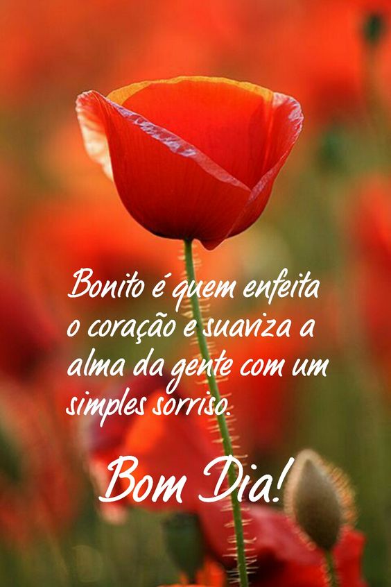 Bom dia quem enfeita o coração