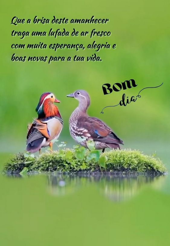 Brisa deste amanhecer