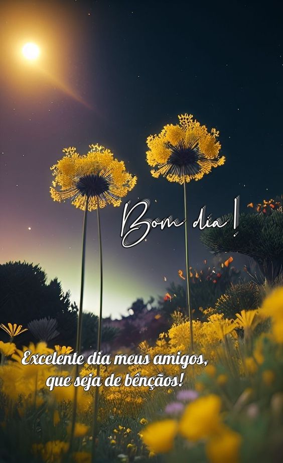 Frases curtas de bom dia para amigos