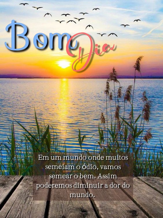 Bom dia vamos semear o bem