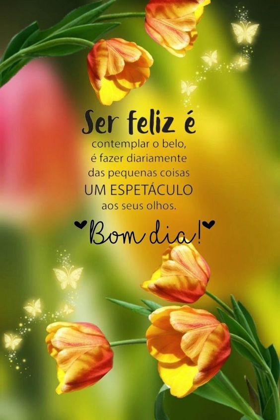 Bom dia positivo de ser feliz