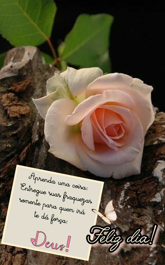 Frases curtas de feliz dia